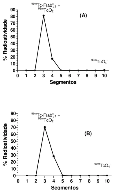 Figura  3  -  Perfil  cromatográfico  de  99m Tc-F(ab’) 2  antiescorpiônico  em  sílica-gel  60  (cromatografia  ascendente)  antes  (A)  e  após  filtração  (B)  em  membrana  de  éster  de  celulose