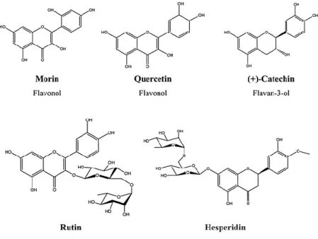 FIG. 1. Chemical structures of the flavonoids used in this study 