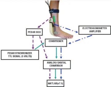 Figure 2 - Subphases of the gait stance obtained from ankle sagittal angular variation: the initial heel contact occurred between A and B, the midstance phase occurred between B and C, and the propulsion phase occurred between C and D.