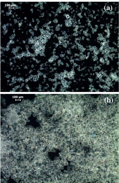 Figura 5-1: Imagens obtidas por MO das microcápsulas de poliuretano preparadas a  1500 rpm: a) microcápsulas contendo IPDI b) microcápsulas contendo MDI