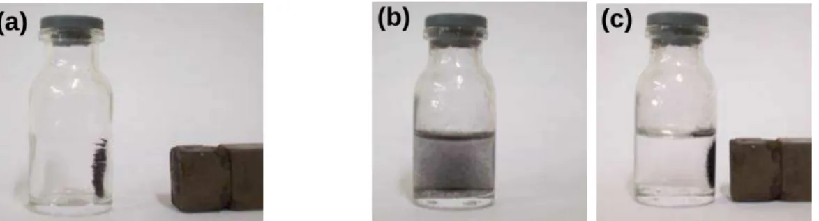 Figura 4.11. Atração dos materiais produzidos por um imã: (a) na ausência de água; (b)  disperso em água e (c) em água na presença de um imã