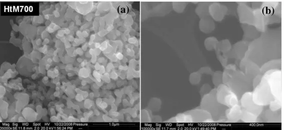 Figura  4.15.  Imagens  obtidas por MEV para  a fração suspensa em acetona  da amostra  HtM700 (a) com maiores detalhes do material mostrados em (b)