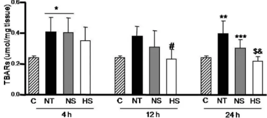 Figure 4 - Nitrotyrosine expression in liver samples (a) from rats in the four groups: control (I) NT (II), NS (III) and HS (IV) at 24 h.