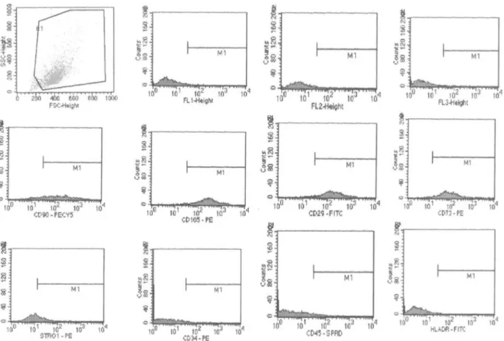 Figure 2 - The expanded cells exhibited cell-surface antigens that are typical of mesenchymal stem and progenitor cells