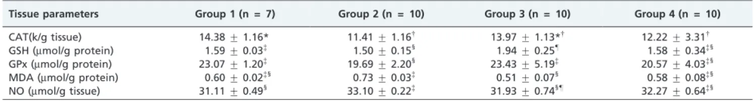 Table 1 - CAT and GPx activities, GSH, MDA and NO levels in the contralateral testis in all groups.