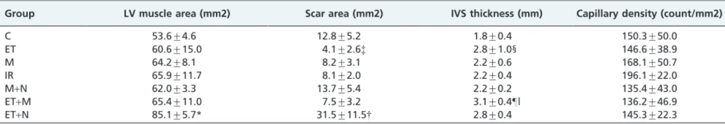 Figure 4 - Representative transversal sections showing the scar size in different groups