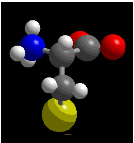 Figura 1.1.  Estrutura do aminoácido cisteína (em cinza, C; em azul, N; em vermelho, O;  em amarelo, S) 