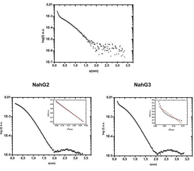 Figura 14. Curvas experimentais de espalhamento de raios-X em solução de apo NahG  na  ausência  e  presença  de  FAD