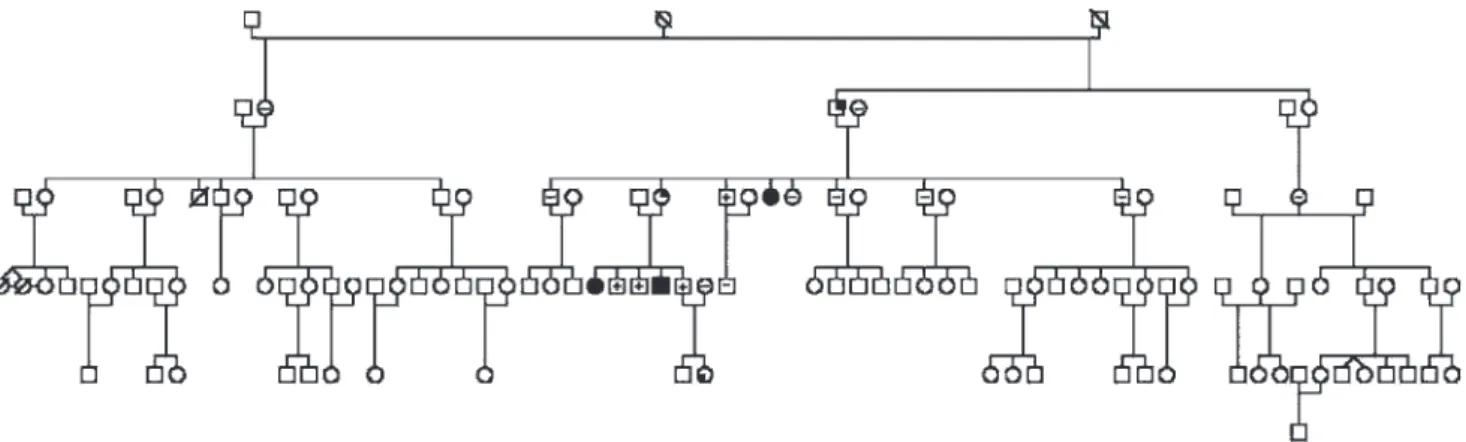 Figure 1 - Genealogical tree of a familial isolated pituitary adenoma (FIPA) family with E174 frameshift aryl-hydrocarbon receptor interacting protein gene ( AIP ) mutation