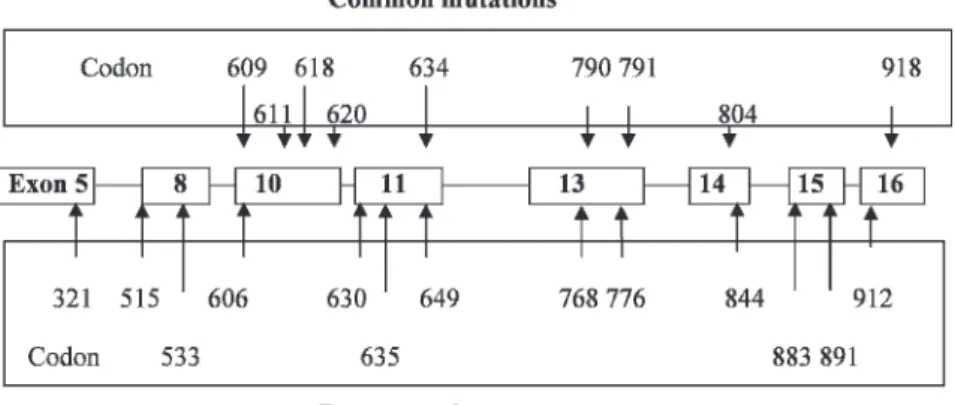 Table 2 - Management of patients with different RET mutations (4).