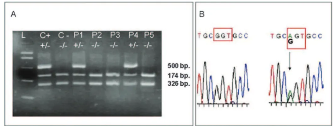 Table 1 - Prevalence of the G12S polymorphism of the SDHD gene among germline RET mutation carriers, patients with sporadic medullary thyroid cancer, patients with sporadic pheochromocytomas, and healthy controls.