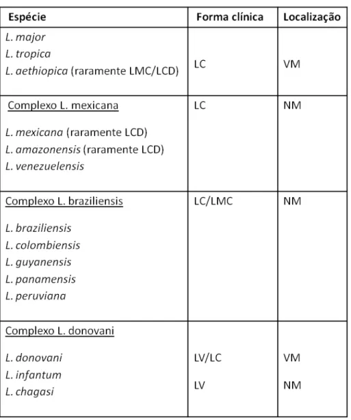Tabela  1:  Principais  espécies  de  Leishmania  responsáveis  pela  leishmaniose  humana 