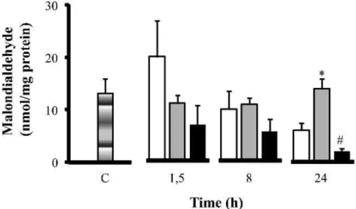 Figure 4 - Oxidative stress - Nitrite concentrations (mmol/mg of protein) in the intestine