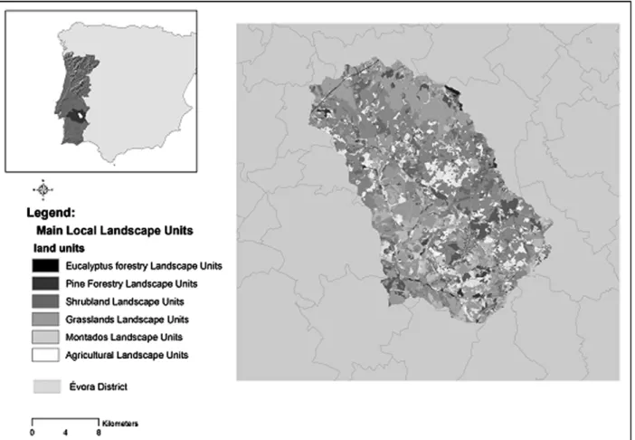 Figure 5. Pardiela Basin; Local Landscape Units.