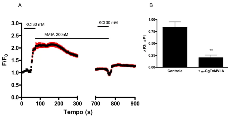 Figura 12 Efeito da  ω-conotoxina MVIIA  sobre o aumento da [Ca 2+ ] i  induzido por  KCl em DRGs