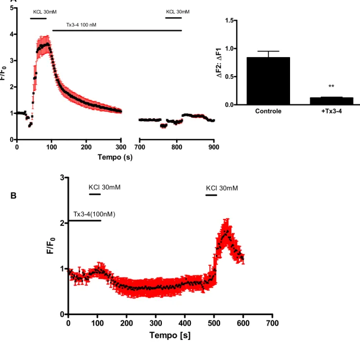 Figura 14  Efeito da toxina Tx3-4 nos níveis de cálcio induzidos por KCl em DRGs.  