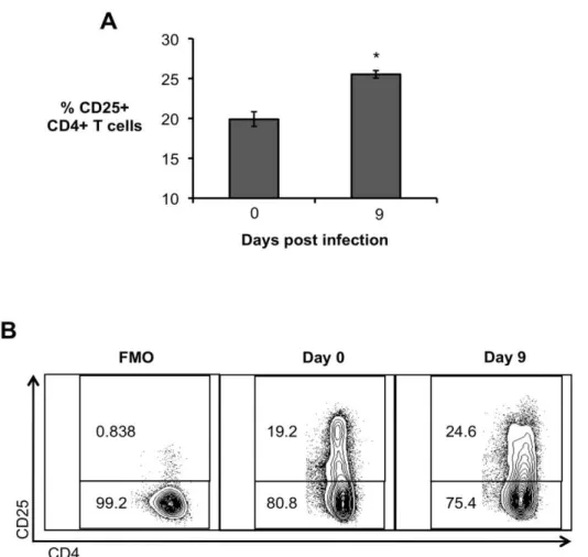 Figure  4.  Expansion  of  CD4 + CD25 +   T  cells  during  Brucella  infection.  (A)  Flow  cytometry 