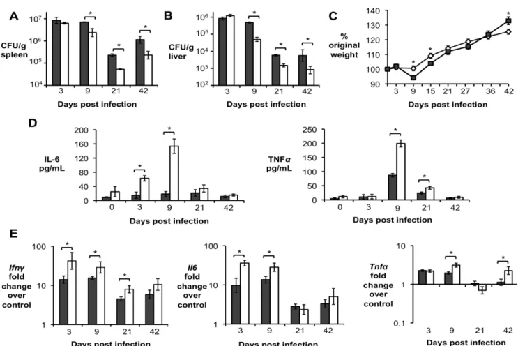 Figure 8. IL-10 production by T cells is required for Brucella abortus persistence and for control of inflammatory response in vivo
