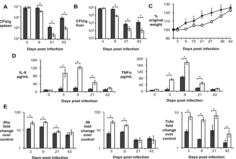 Figure 12. Inability of macrophages to respond to IL-10 results in decreased persistence of B