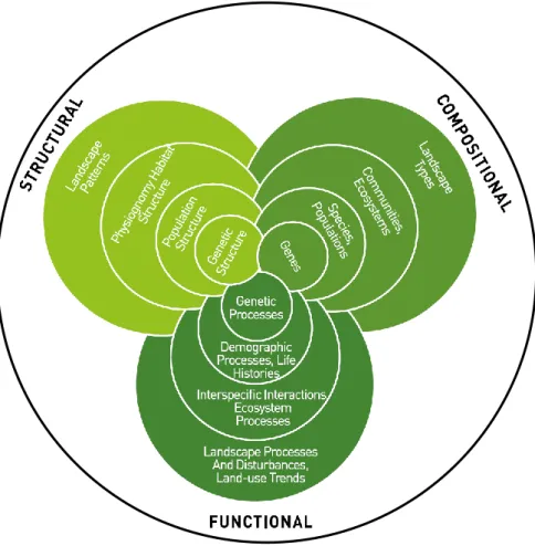 Figure 1 - 6 – Compositional, structural and functional biodiversity shown as interconnected spheres along multiple  levels of organization