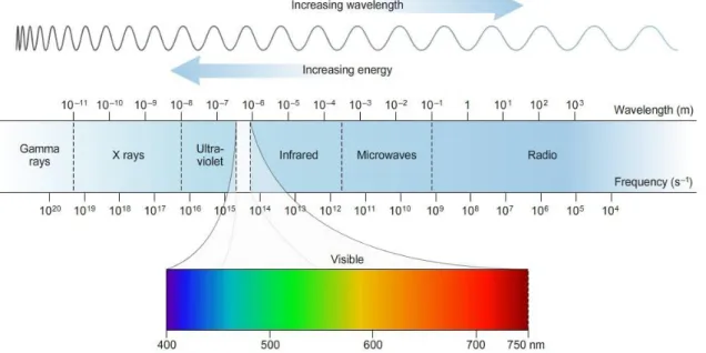 Figure 2 - 1 – The electromagnetic spectrum (source: https://sites.google.com/site/chempendix/em-spectrum; © Sapling  Learning) 