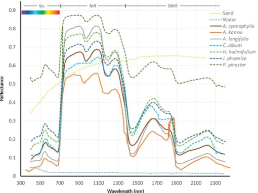 Figure  2  -  3  –  Reflectance  profiles  extracted  from  a  hyperspectral  sensor  showing  spectral  differences  between  alien/invasive plant species of the Acacia genus (solid lines; Acacia cyanophylla, A
