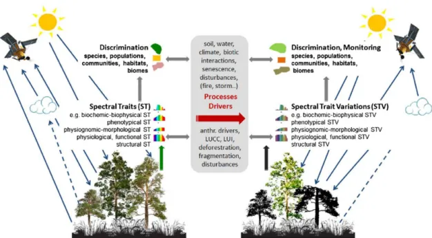 Figure 2 - 5 - Quantification of spectral traits and their interactions with drivers and processes to discriminate and monitor  plant species, populations, habitats, communities and biomes using EO (source Lausch et al