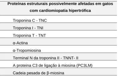 Tabela 5 - Possíveis proteínas estruturais afetadas pela mutação. Adaptado de Norsworthy et al., 2011.