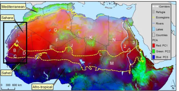 Figure 3: Environmental variability in North Africa derived by Spatial Principal Component  Analysis  (SPCA)