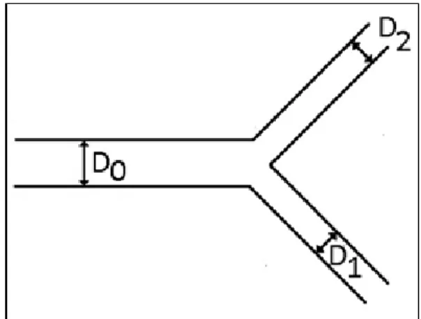 Fig. 1.4  Representation of a dichotomous branching. 