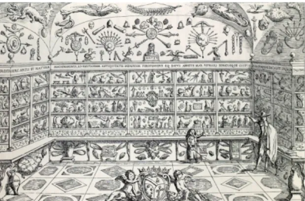 Fig. 25 Museu Cospiano, Bolonha (1677). 