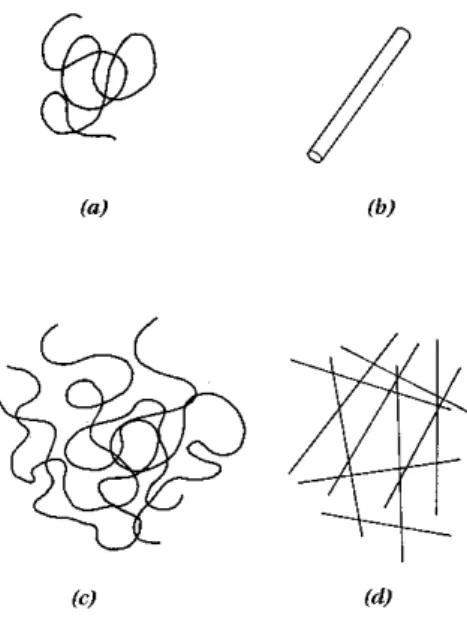 Figura 3.1: Tipos de pol´ımeros: (a) flex´ıvel, (b) r´ıgido, (c) e (d) suas solu¸c˜oes concentradas.