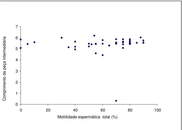 GRÁFICO 4 - Ausência de correlação entre motilidade espermática e comprimento da  peça intermediária da cauda de espermatozóides humanos