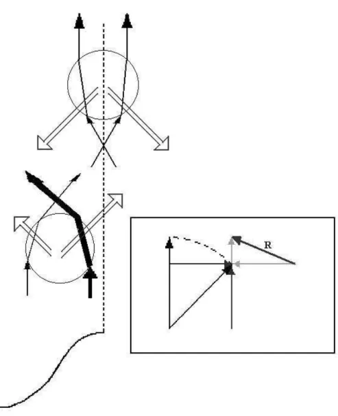 Figura 5.1 : Esquema das for¸cas da pin¸ca ´optica