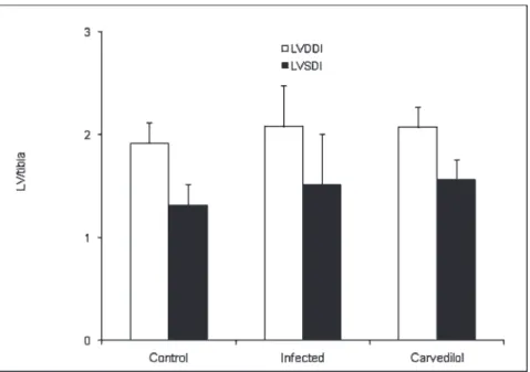 Table 1 - Collagen volume fraction in the interstitial and perivascular space in the left and right ventricles.