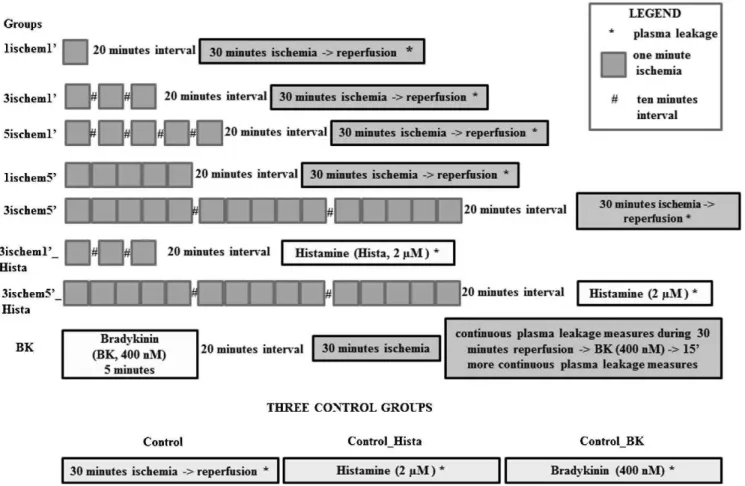 Figure 4 shows two IPC groups with three one-minute and three five-minute ischemia periods followed by the topical application of histamine compared to control