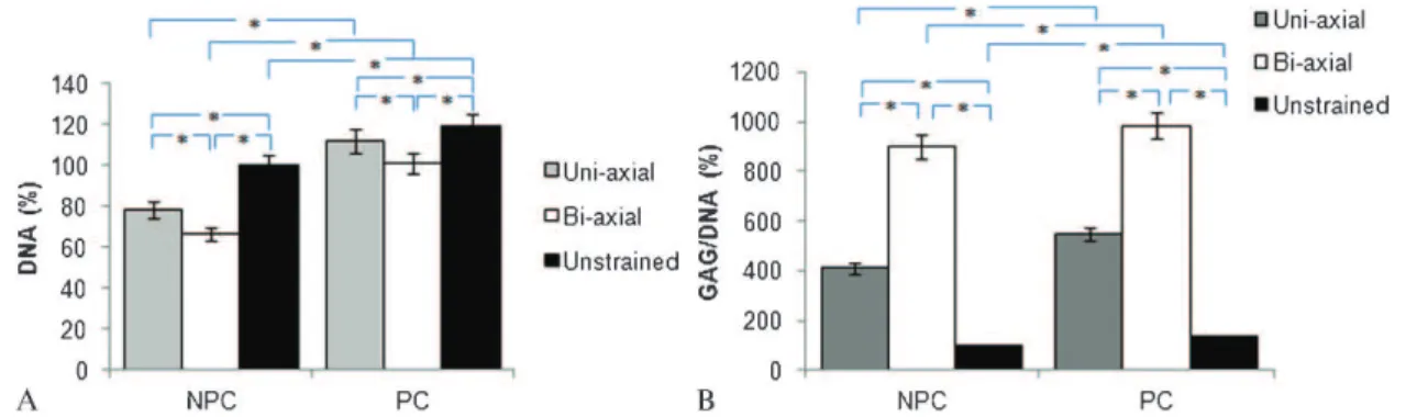 Table 2 - Comparison of previous in vitro studies indicating the positive effect of mechanical loading on articular chondrocytes.