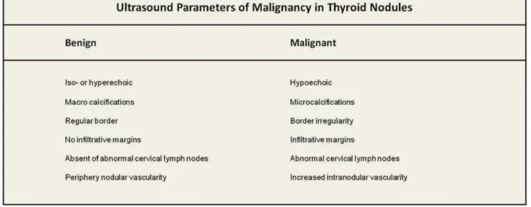 Figure 1 - Ultrasound parameters suggestive of malignancy in thyroid nodules. Adapted from Lew et al