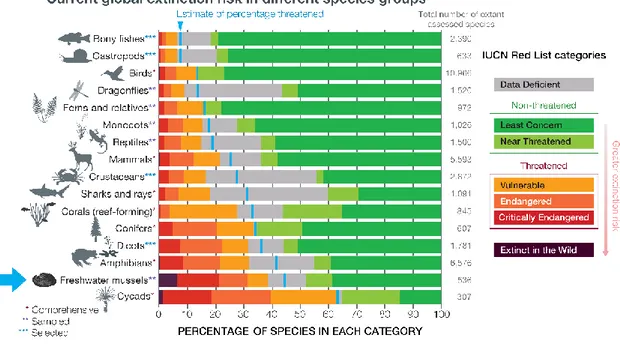 Figure 4. Current extinction risk in different species groups. Adapted from IPBES (2019)