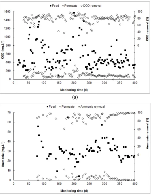 Figure 3 -Performance of the MBR for (a) COD removal and (b) NH3-N removal. 