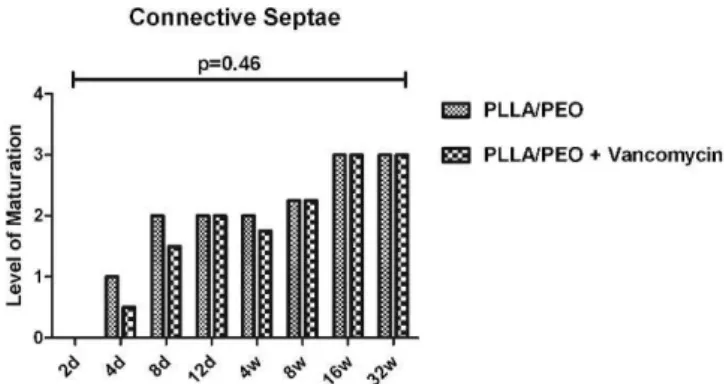 Figure 6 - Percentage of bone formation during the different experimental periods for the vancomycin-loaded PLLA/PEO microspheres and vancomycin-unloaded PLLA/PEO