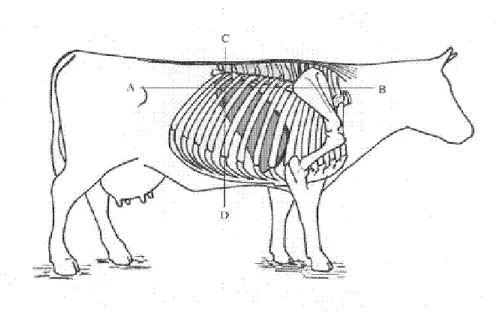 Figura  2:  Figura  adaptada  do  trabalho  de  Barros  et  al.,  (2007)  publicada  na  Revista 