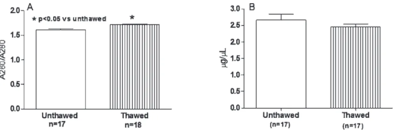 Figure 4A - Integrity of the thawed and unthawed isolated total RNA samples. 1 = ladder; 2 and 3 = unthawed kidney (control); 4 to 18 = thawed isolated total kidney RNA