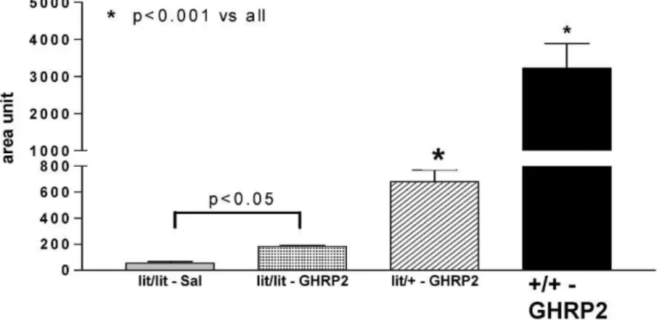 Figure 3 - Serum mGH responses to the acute administration of 10 mg GHRP-2 (or saline, SAL for lit/lit mice) in the lit/lit, lit/+, and +/+