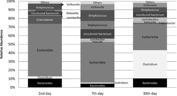 Figure 1 - Bacterial profile of the 16S rRNA library constructed with fecal samples from a group of nine neonates who were not given antibiotics