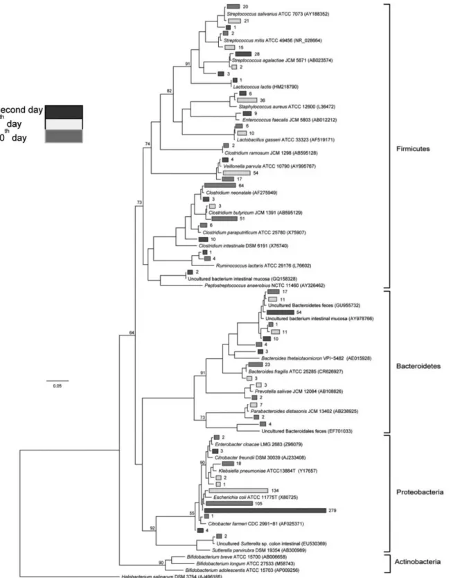 Figure 5 - Phylogenetic relationships among the OTUs detected in newborn fecal samples