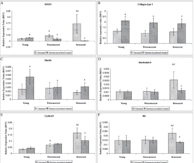 Figure 6 - Effect of c-tocotrienol on MMP1 (A), COL1A1 (B), ELN (C), IL6 (D), CCND1 (E), and RB1 (F) mRNA expression levels in untreated and c-tocotrienol-treated young, pre-senescent and senescent HDFs