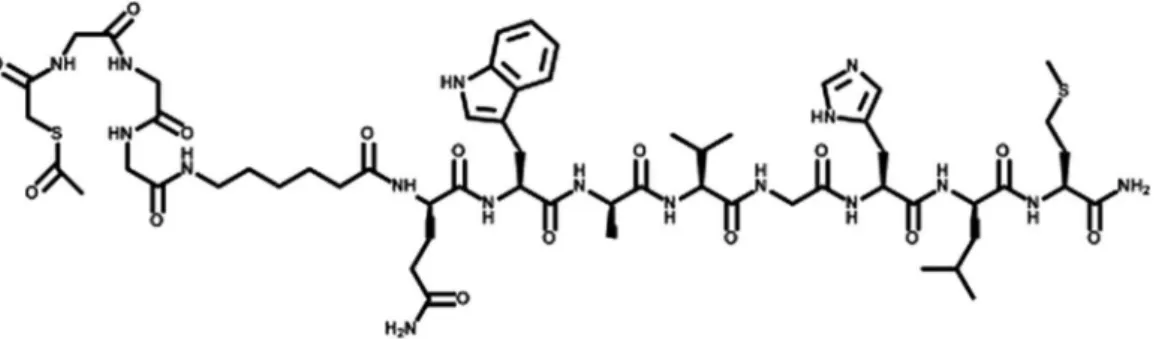 Figure 2 - Structure of conjugated DUP-1 (FRPNRAQDYNTNK) (SAMA-G-G-G-Ahx)-NH2; chemical formula: C 85 H 131 N 29 O 27 S; molecular weight: 2023.19.