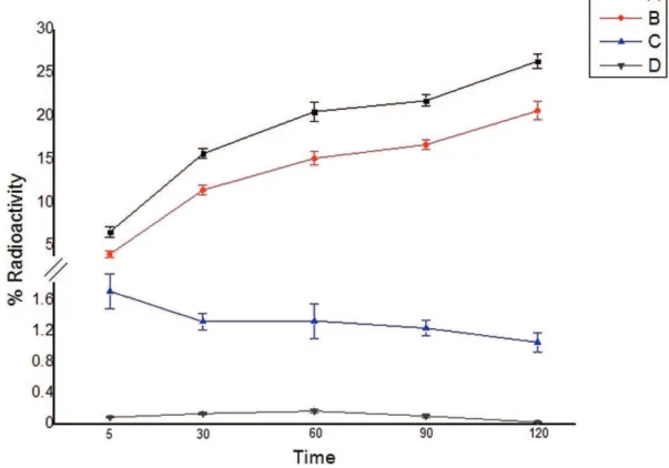 Figure 5 - Internalization of the radiotracers: total binding represents uptake on the surface membrane plus that inside of the cell;