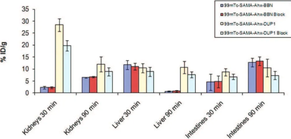 Figure 7 - Pancreatic and tumor uptake in regular, as well as blocked, urethane-anesthetized animals (0.1 mL/18.5 MBq): (A) 99m Tc- Tc-SAMA-G3-Ahx-BBN 30 min; (B) 99m Tc-SAMA-G3-Ahx-BBN 90 min; (C) 99m Tc-SAMA-G3-Ahx-DUP 30 min; (D) 99m Tc-SAMA-G3-Ahx-DUP 